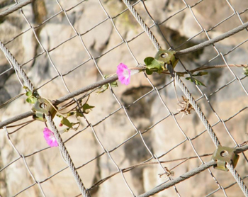 IMG110828092902203609.jpg IMG110828092902203609.jpg