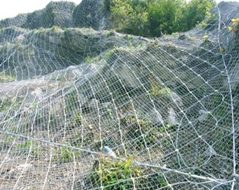 2013102572728.jpg 2013102572728.jpg